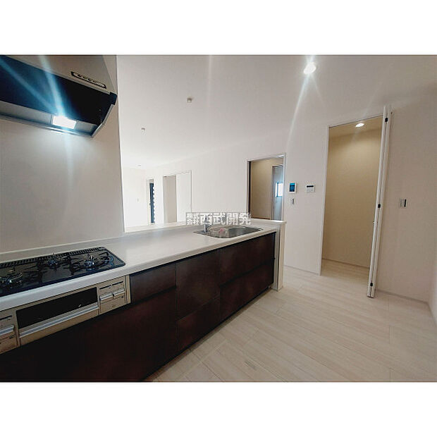 令和7年11月3日撮影