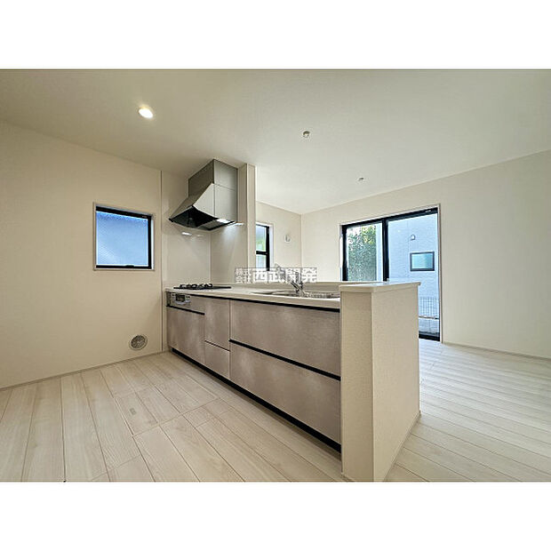 令和7年11月3日撮影