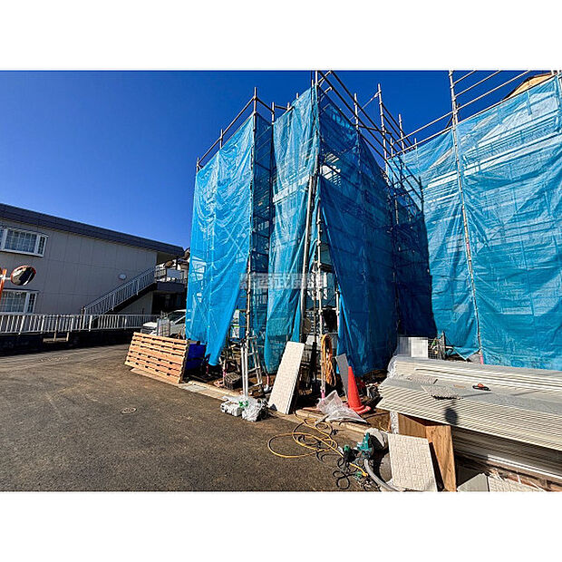 2025年11月28日撮影