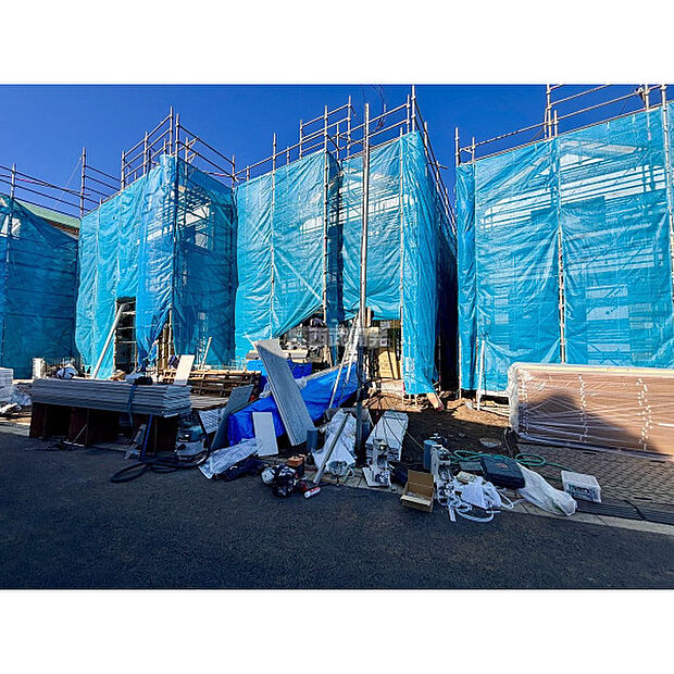 2025年11月28日撮影