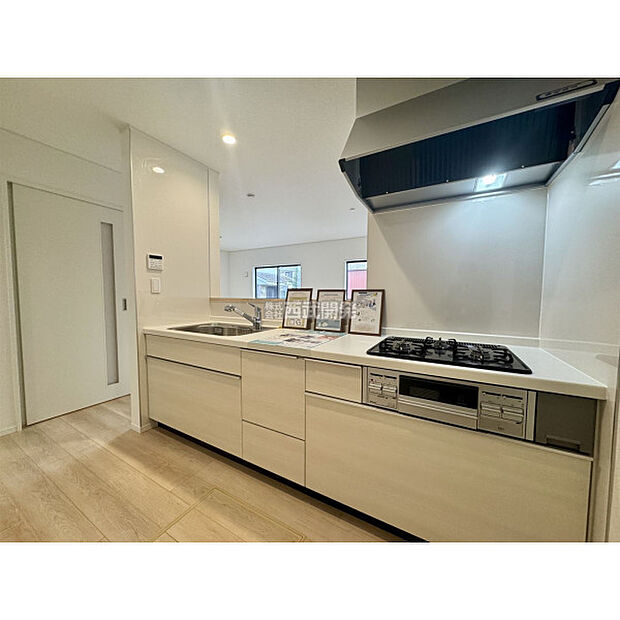 令和7年11月2日撮影