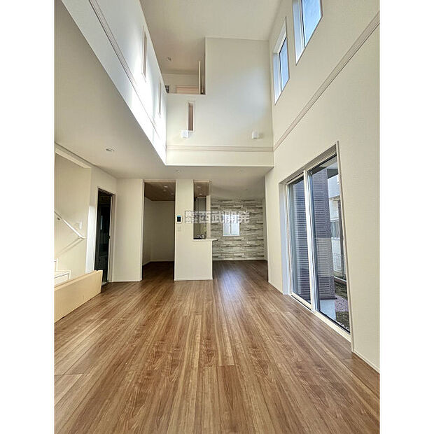 令和7年11月14日撮影