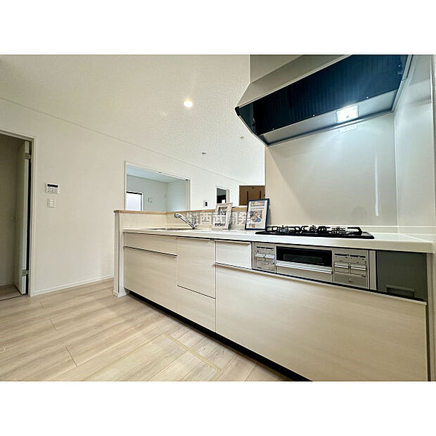 令和7年11月2日撮影