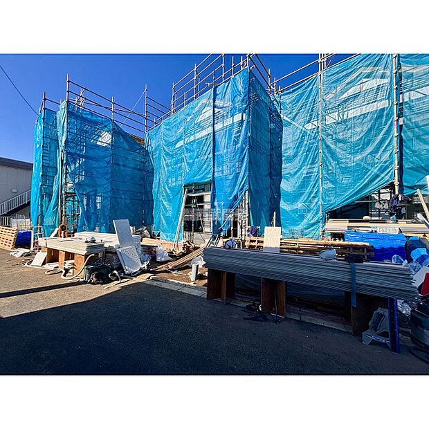 2025年11月28日撮影