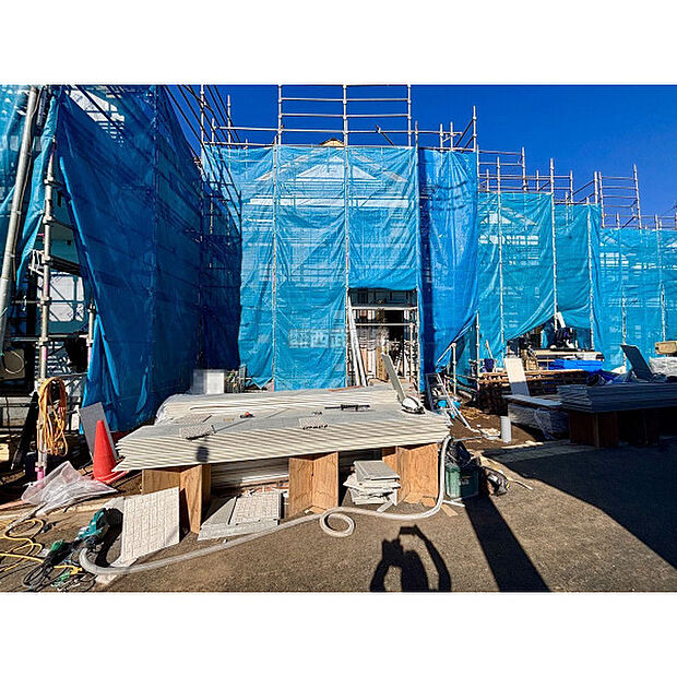 2025年11月28日撮影