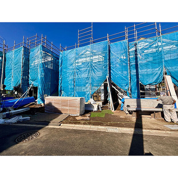 2025年11月28日撮影