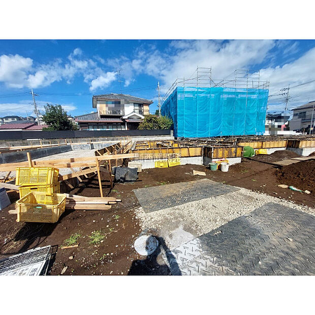 2025年10月27日撮影