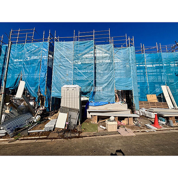 2025年11月28日撮影