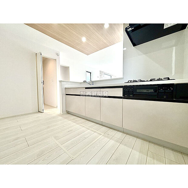 令和7年11月1日撮影