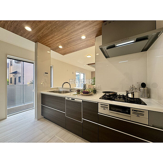 令和7年11月7日撮影