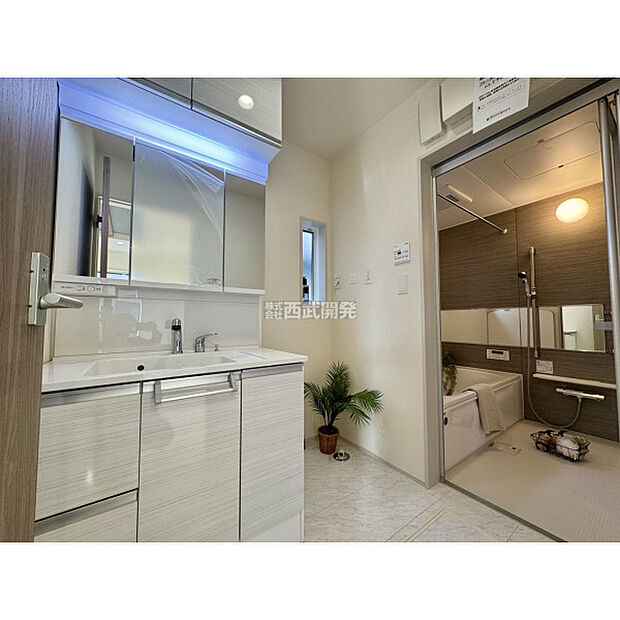 令和7年11月7日撮影