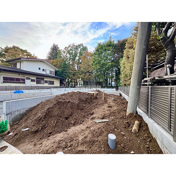 2025年11月2日撮影