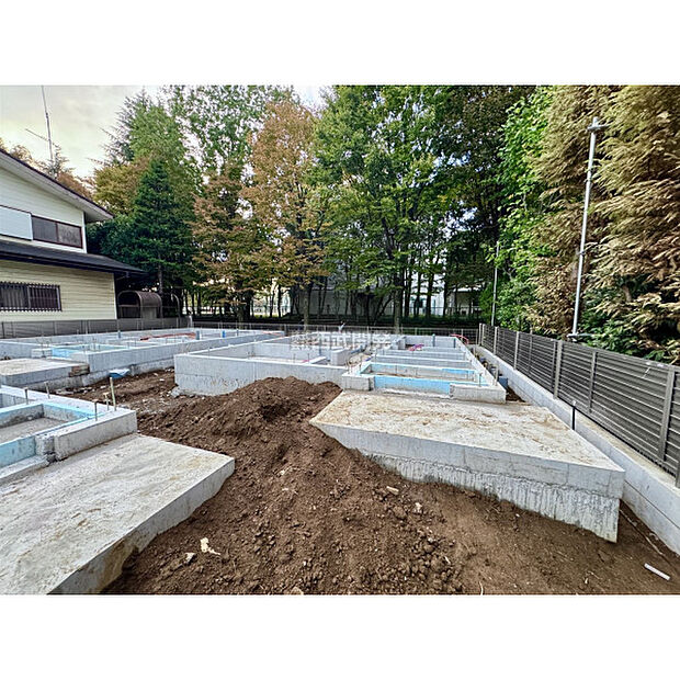 2025年11月2日撮影