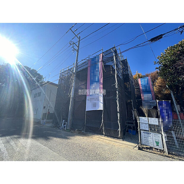 令和7年11月22日撮影