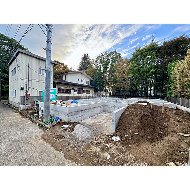 2025年11月2日撮影