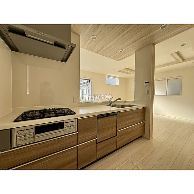 令和7年11月8日撮影