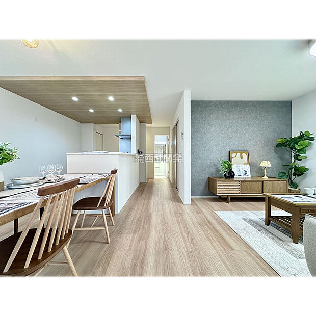 令和7年11月2日撮影