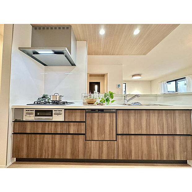 令和7年11月2日撮影