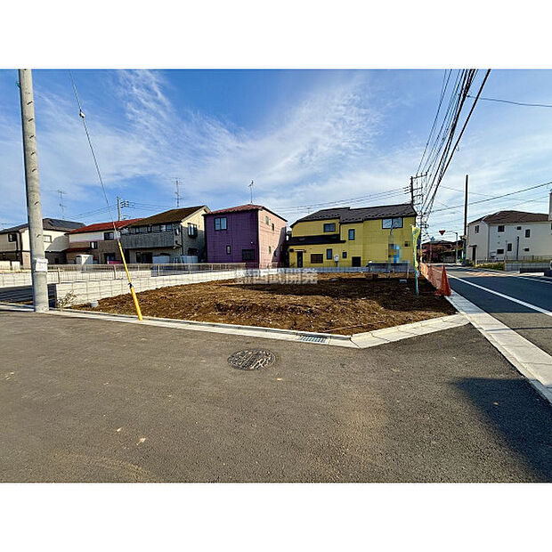 令和7年11月7日撮影