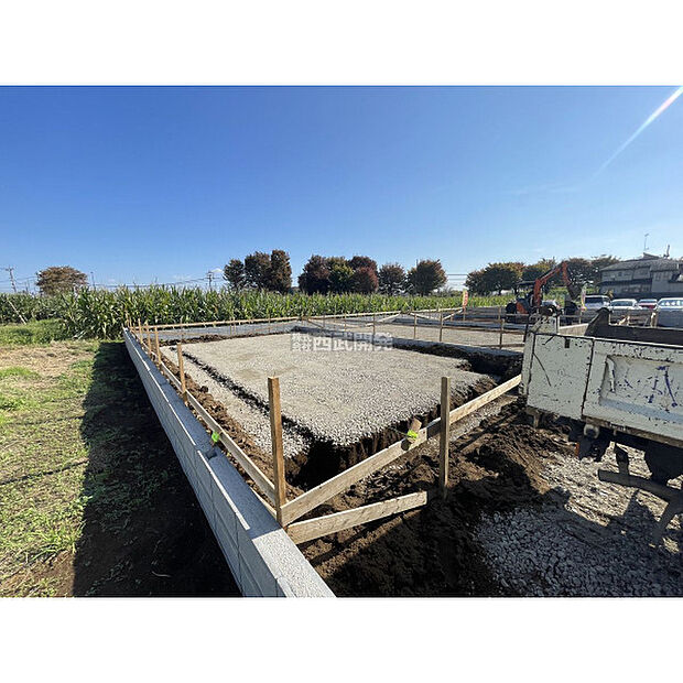 令和7年11月15日撮影