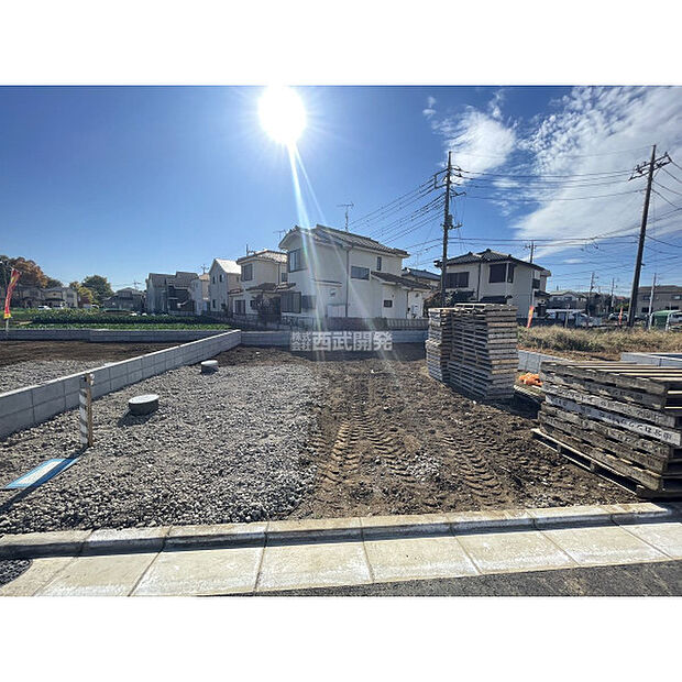 令和7年11月24日撮影