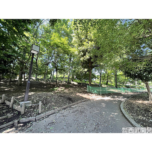 亀ヶ谷公園