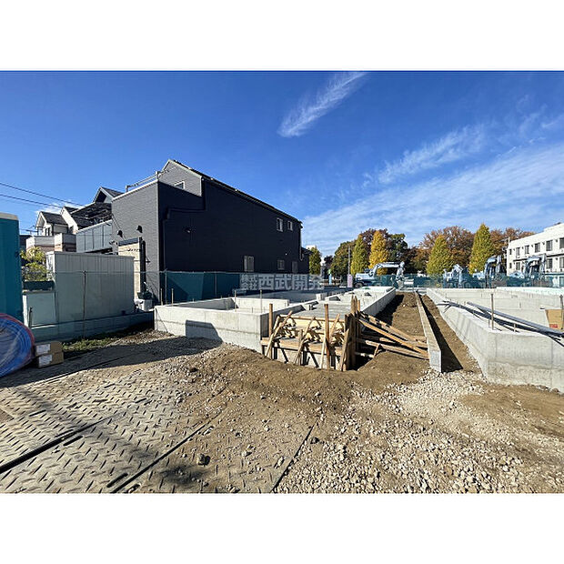 令和7年11月24日撮影