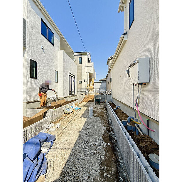 令和8年3月21日撮影