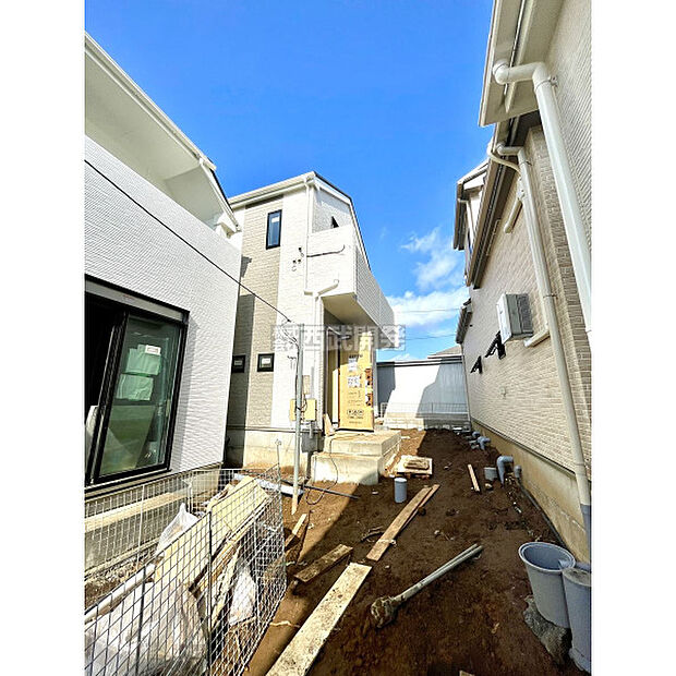 令和8年3月10日撮影