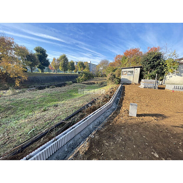 令和7年11月23日撮影