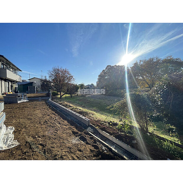 令和7年11月23日撮影