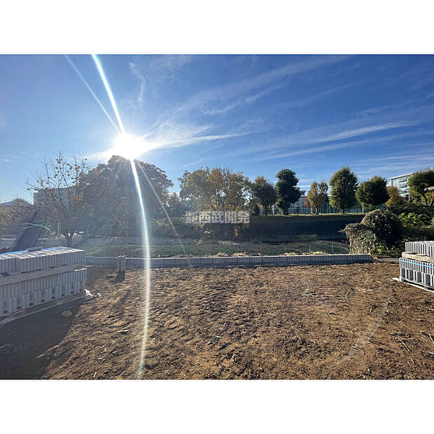 令和7年11月23日撮影