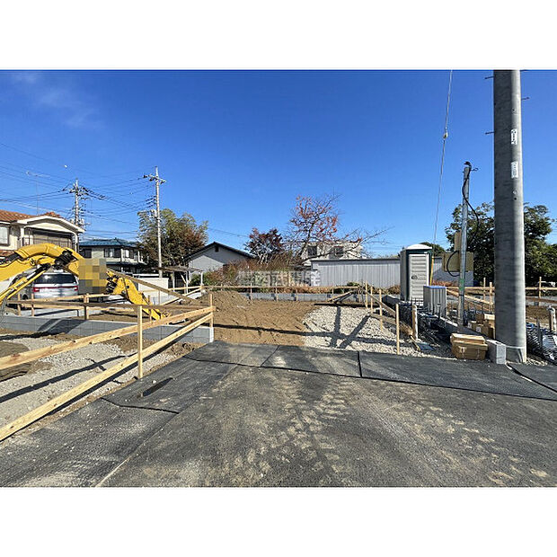 令和7年11月24日撮影