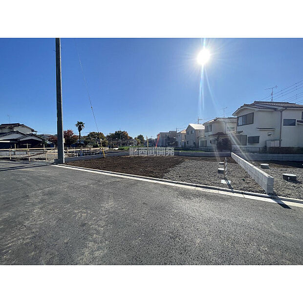 令和7年11月24日撮影