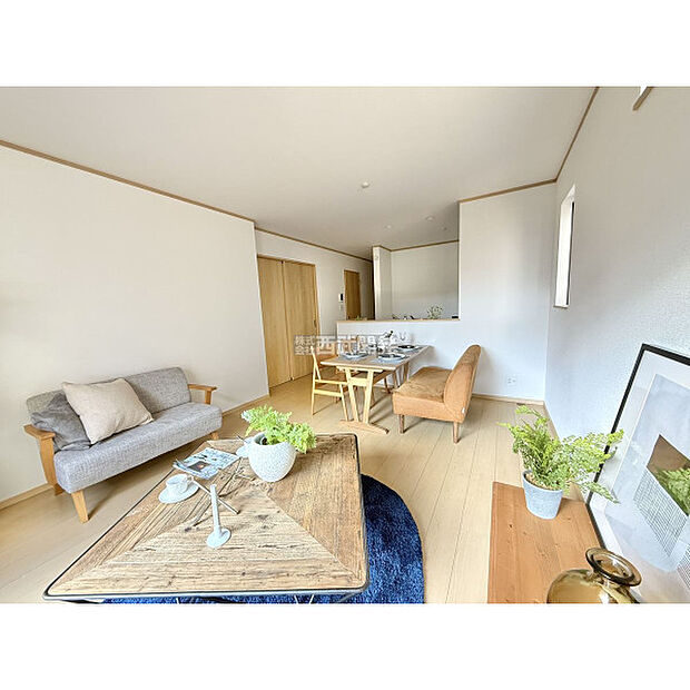 令和7年12月19日撮影