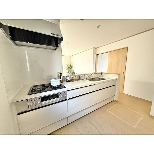 令和7年12月19日撮影