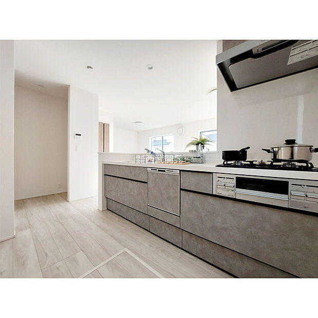 令和7年12月19日撮影