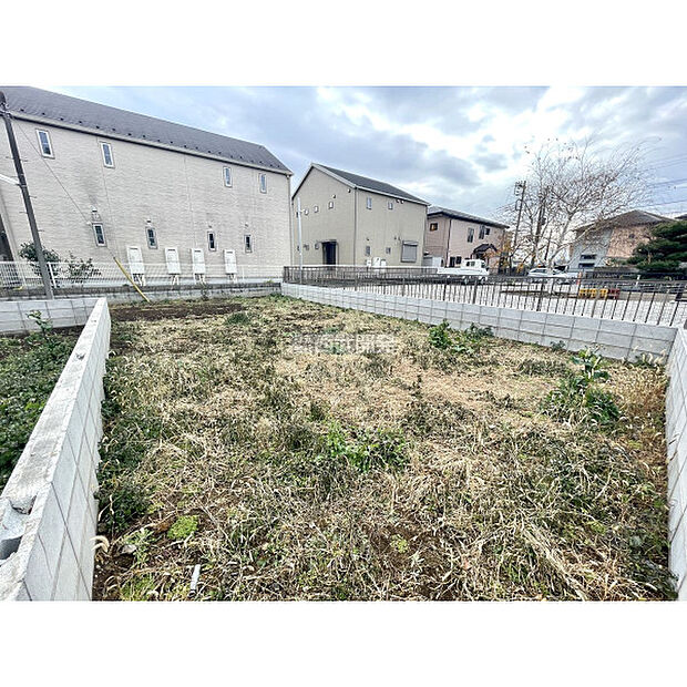 令和7年12月20日撮影