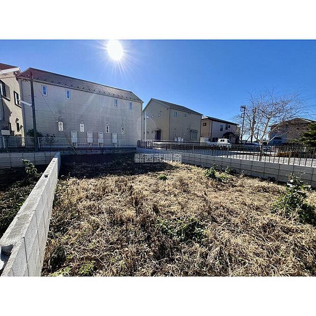 令和8年1月9日撮影