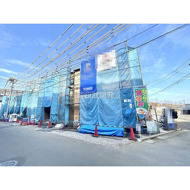 令和8年3月9日撮影