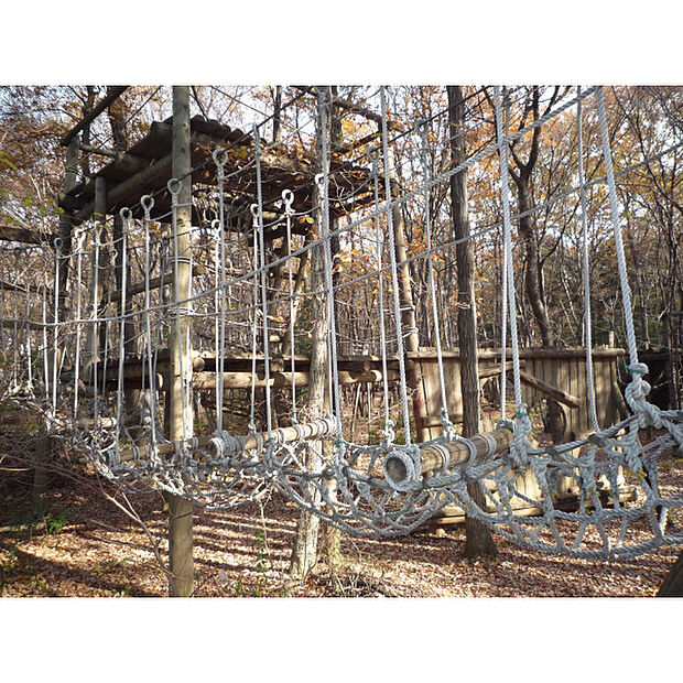 アスレチックのびどめの里