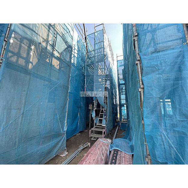 令和8年2月22日撮影