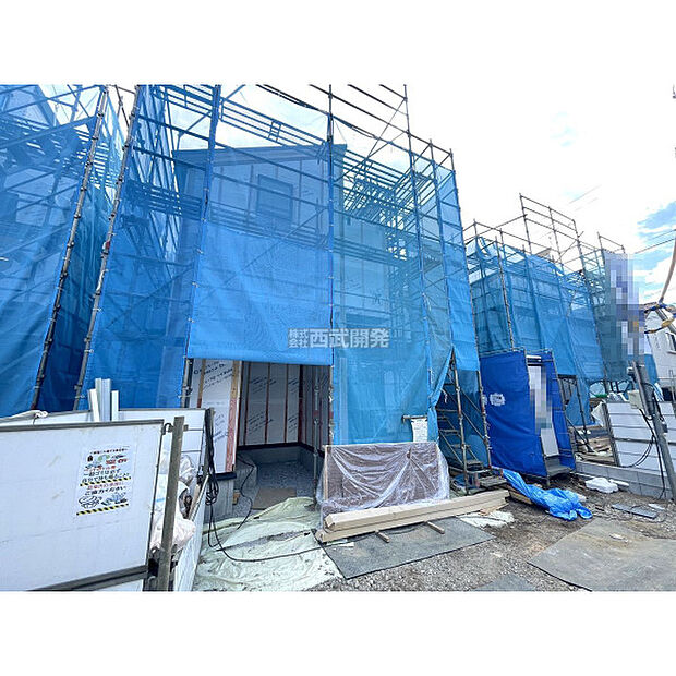 令和8年3月19日撮影