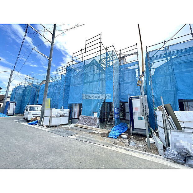 令和8年3月19日撮影