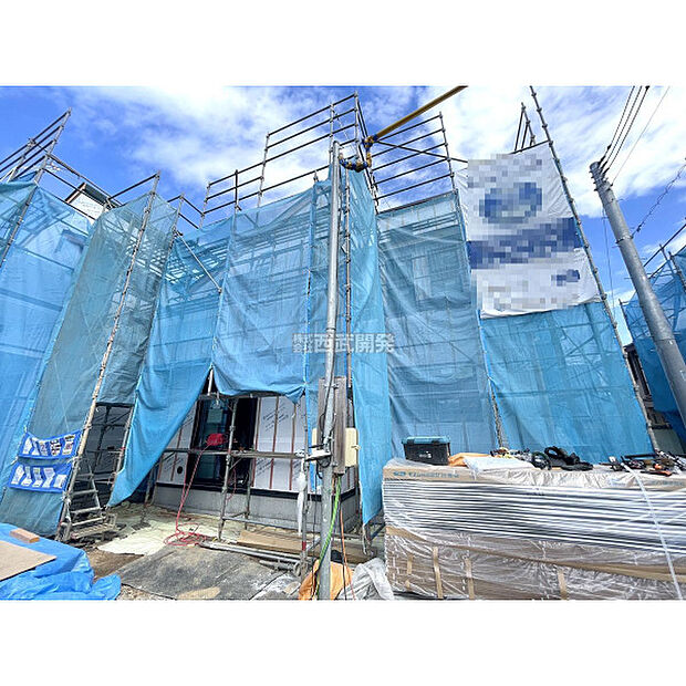 令和8年3月19日撮影