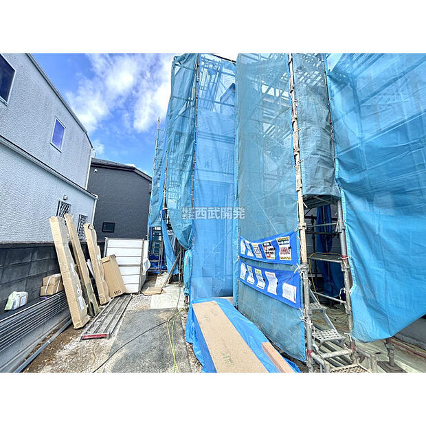 令和8年3月19日撮影