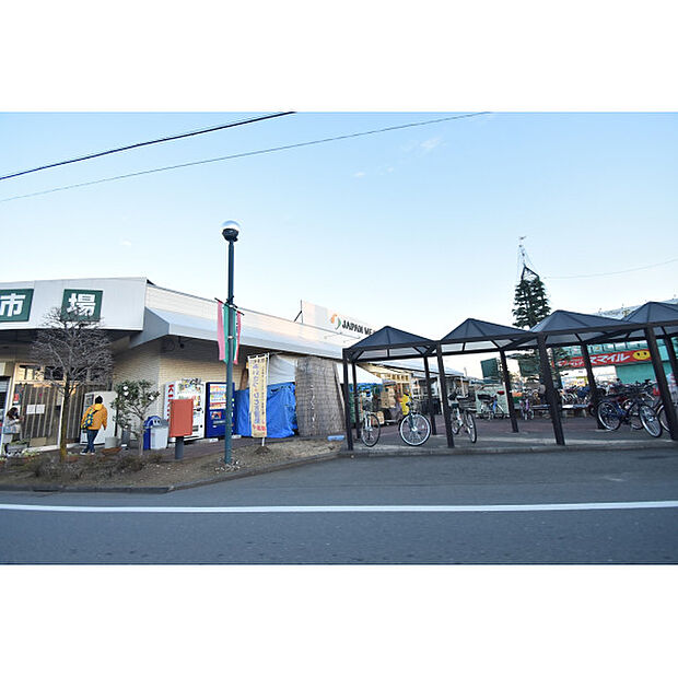 ジャパンミート