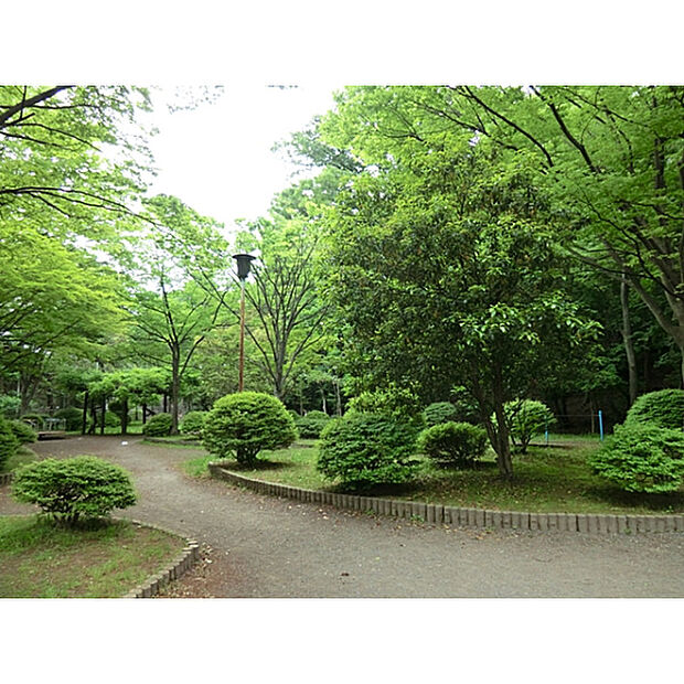 秋津公園