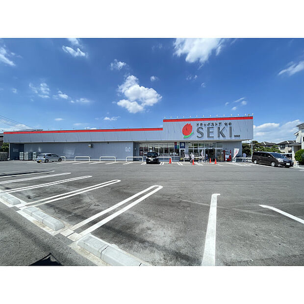 ドラッグストアセキ