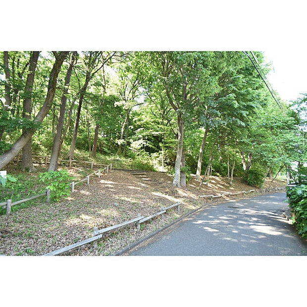 八国山緑地